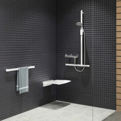 Be-line¨ T-shaped shower grab bar with sliding vertical rail